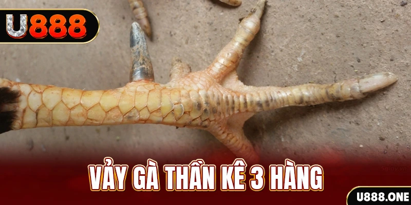 hot51 nổ hũ đổi thưởng . ai