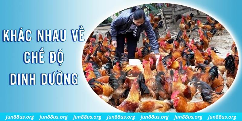hot51 xổ số thứ sáu hàng tuần