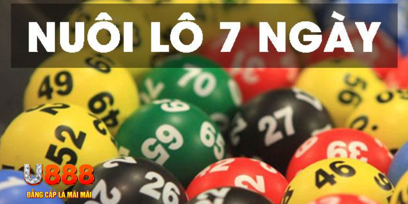 hot51 xổ số đà nẵng