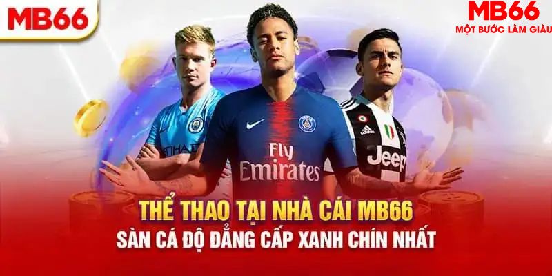 hot51 HB Điện Tử