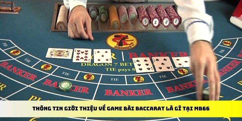 hot51 xổ số trực tiếp miền bắc