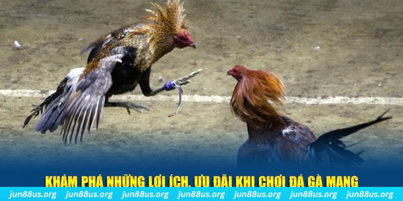 hot51 Tài Xỉu 2