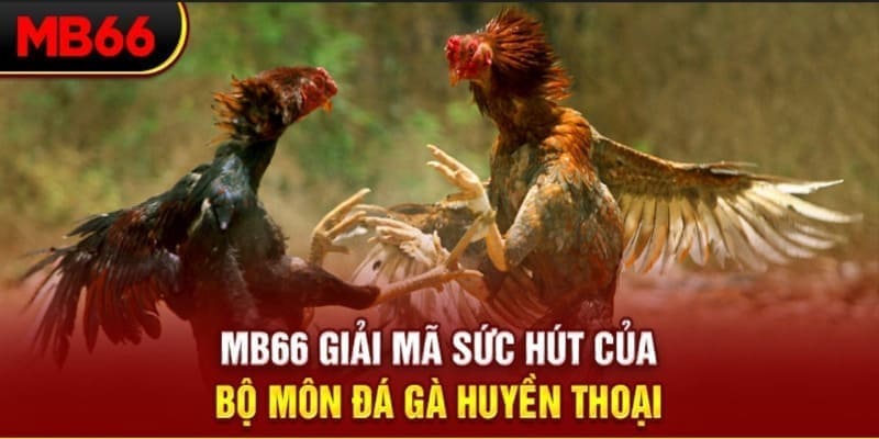 hot51 long bảo trong baccarat là gì