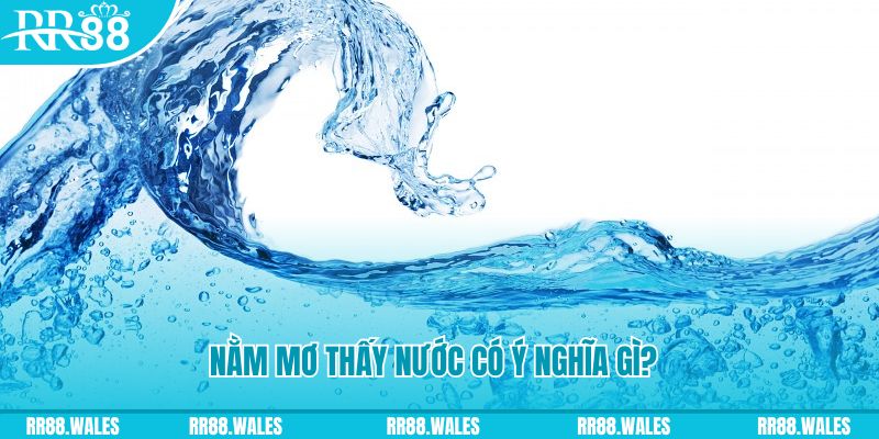 hot51 đá gà trực tiếp thomo