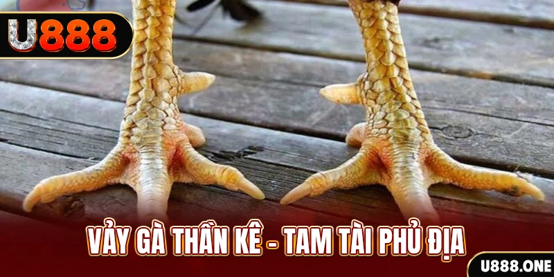 hot51 xổ số 30 ngày