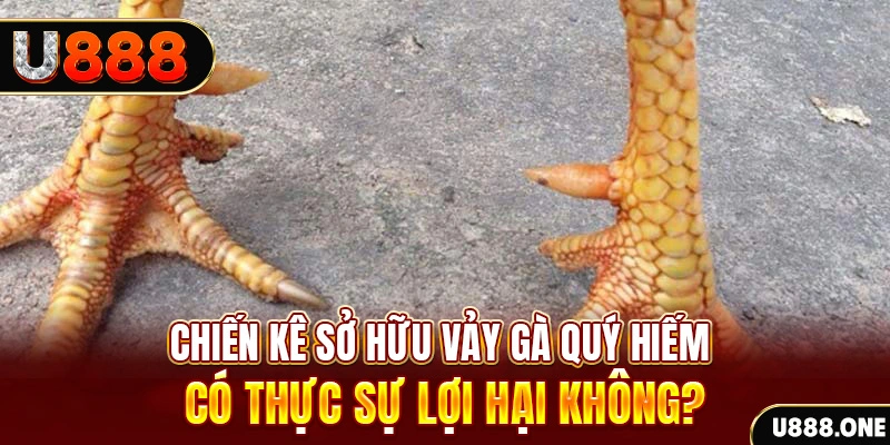 hot51 game cá cược máy bay