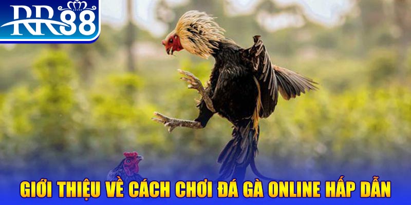 hot51 nổ hũ 2 mặt là gì