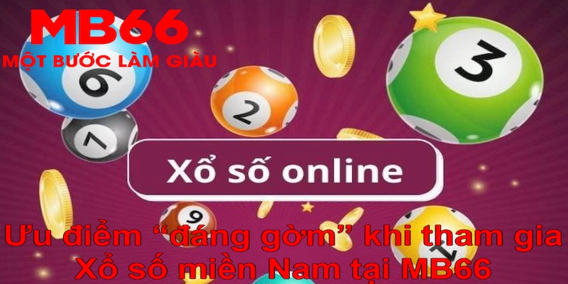 YGR Điện Tử