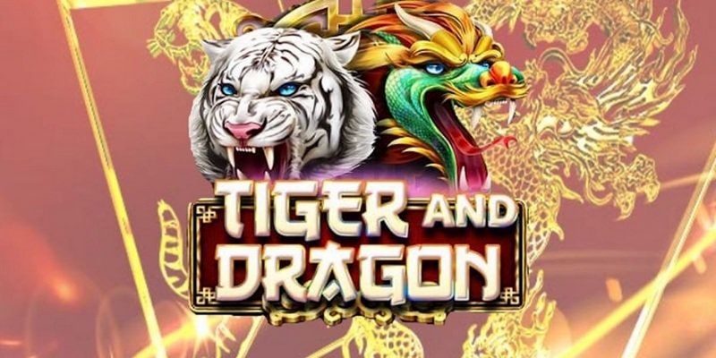 hot51 cá cược tiếng anh là gì