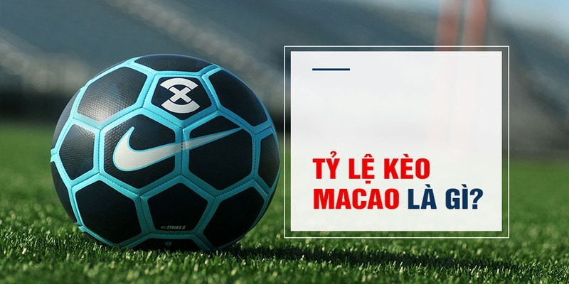 hot51 Trăm Knorr