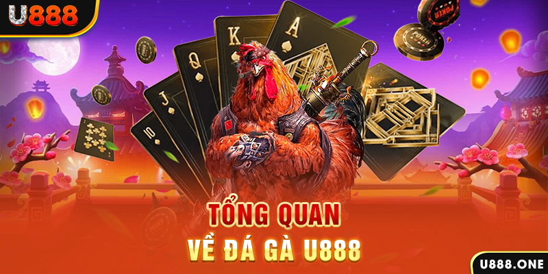hot51 what is casino bonus wagering